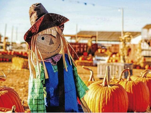 5444506_web1_scarecrow-1