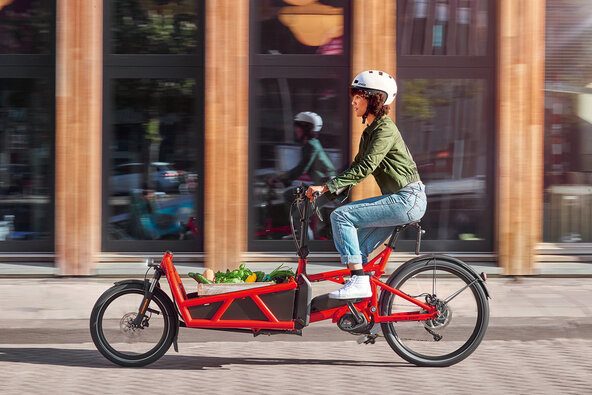electric-cargo-bike-market-1